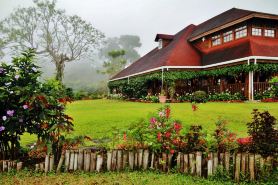 Finca Hamburgo la Ruta del Cafe
