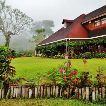 Finca Hamburgo la Ruta del Cafe