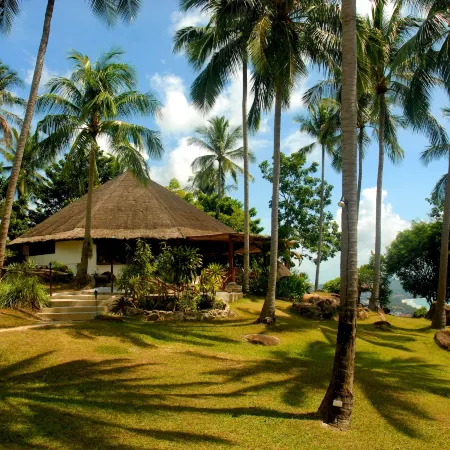 The Jungle Club