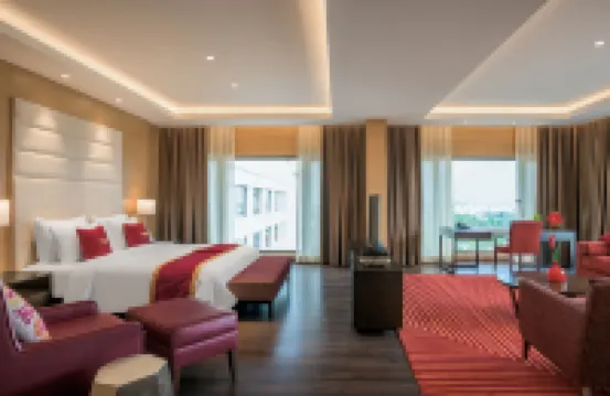 金奈羽毛拉達飯店