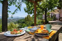 B&B Albachiara Casa di Campagna فنادق في Trentinara