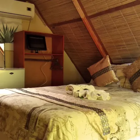 Elephant Trail Guesthouse and Backpackers