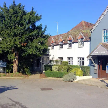 The White Swan