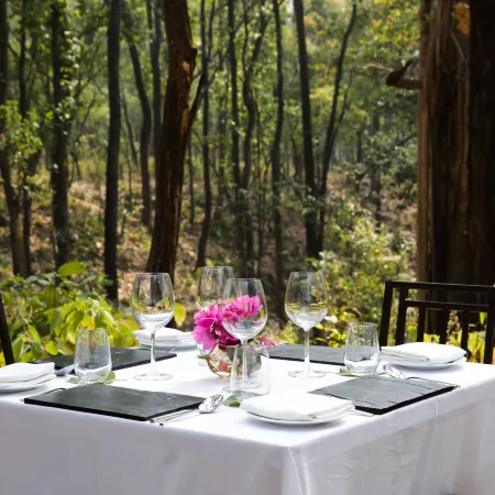 Saraca Resort & Spa Corbett