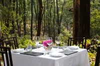 Saraca Corbett住宿