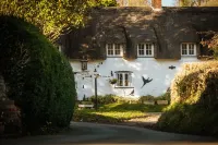Brace of Pheasants Hotel a Hazelbury Bryan
