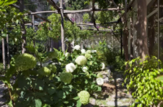 โรงแรมปูเปตโต