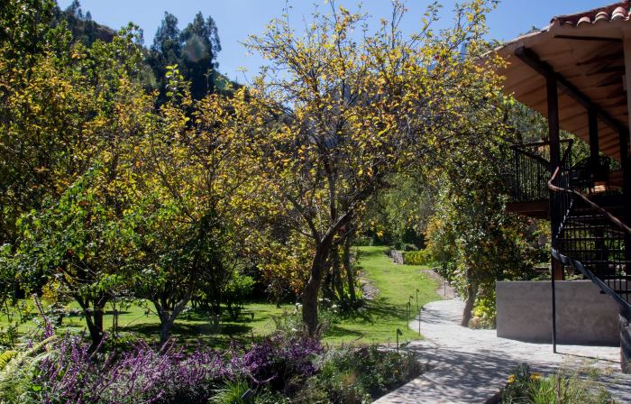 Andenia Boutique Hotel, Sacred Valley