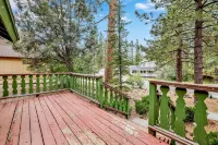 Pines and Needles #1454