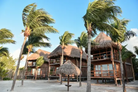 Blue Holbox Beach Front