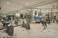 Park Hyatt Mendoza Hotel Casino and Spa - Gym
