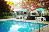 Clarion Inn Sheffield Muscle Shoals - Pools
