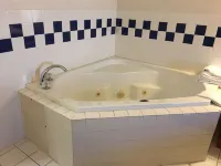 Quality Inn I-94 near Wings Stadium - Hot Tub