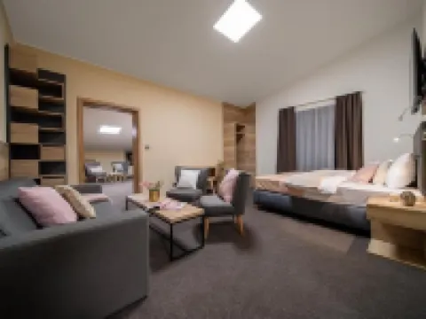 澤萊尼波託克酒店 派克波特斯耐茲庫酒店