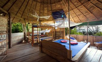 Kactus-Your Island Sanctuary on Koh Ta Kiev