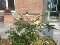 La Nieppoise - Afhentnings-/afleveringstjenester