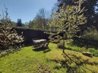 Apartment in Thale by Fishing River