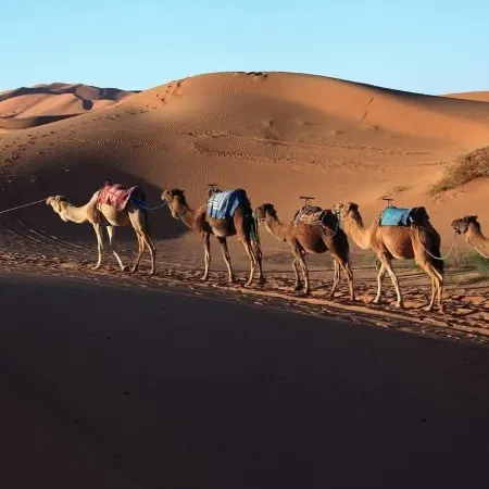 Akwabir Eco Camp