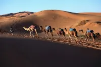 Akwabir Eco Camp Hotels in Mhamid