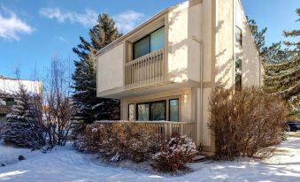 Kbm Resorts Fully Remodeled 2 Miles from Resorts Shuttle Routerct-42