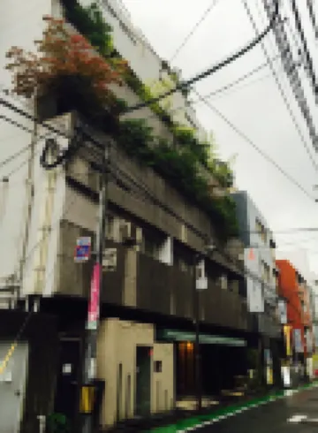 โรงแรมพลาซา ฟุโย