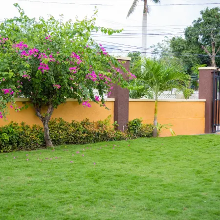 Centrally Located Guest Apartments