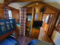Lakefront Magic Wilderness Cabin