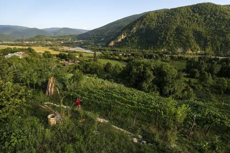 House in the Vineyard Отели в г. Гори