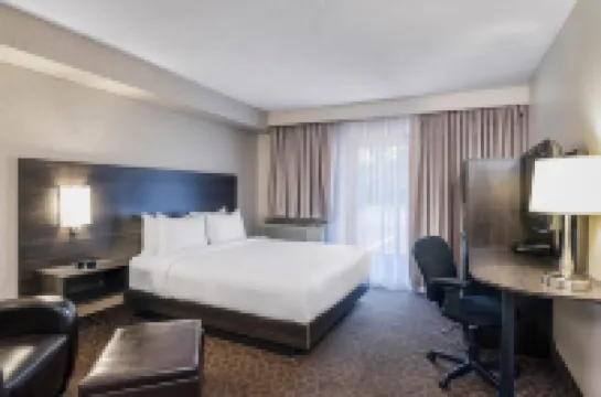 クオリティ イン & カンファレンス センター キングストン セントラル キングストンのホテル