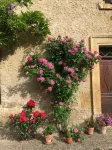 Charming Aveyron house in the heart of nature, close to a hiking trail.