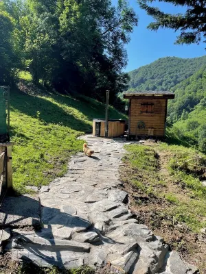 Gîte Jaune - House on 5 ha property, swimming pool, sauna, animals,