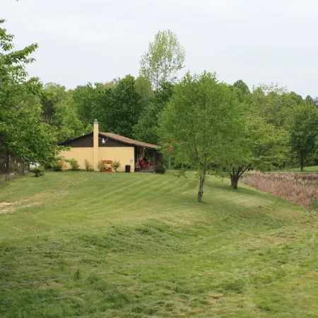 Climb On Inn~ Studio~ Naturally Gorgeous~Rock Climbing -Red River Gorge~Cozy