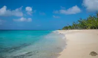 Luxury Villa! Courtesy SUV Included! PaddleBoards, Bikes, Chairs & More!