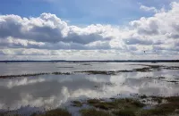 Gîte de la Hourdelière, Hourdel, Cayeux-sur-Mer