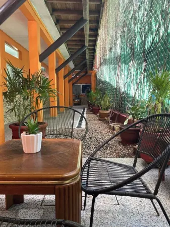 The most beautiful suite near the sea