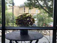 The Queens Apt stylish + Free Parking. Hop Skip & Jump to Restaurants