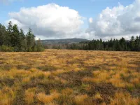 Mountain view Braunlage - right in the center and yet wonderfully quiet