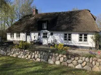 Stylish living under thatch