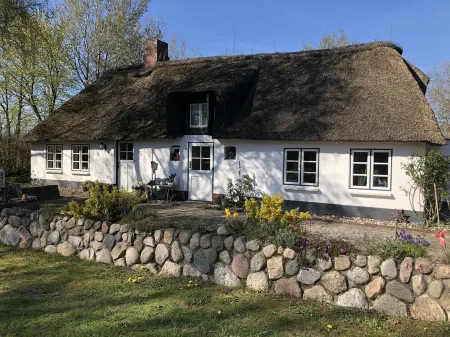 Stylish living under thatch