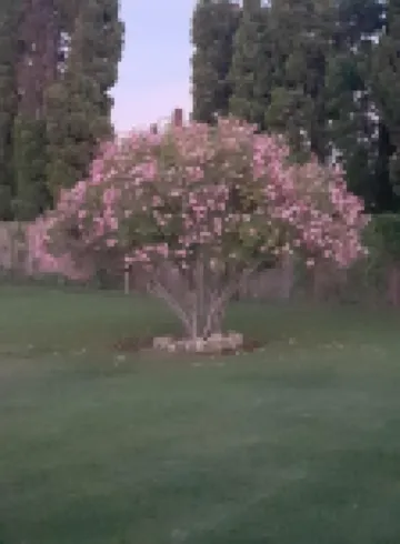 Charming apartment in Provence