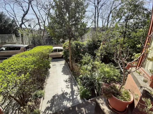 Superb character duplex in the European district