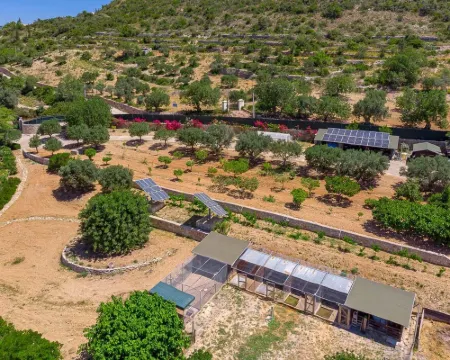 Stunning 3 bedroom en-suite house in farm with pool Hotels in Estoi