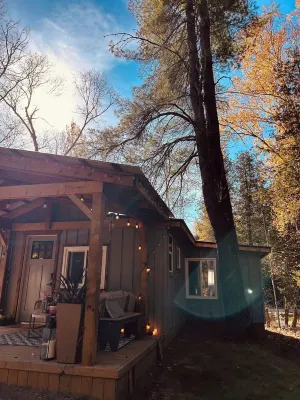 Forest Retreat: Cozy Cabin with Nordic Spa &Bunkie