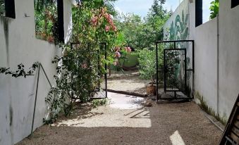 Casa Otilia - Hospedaje