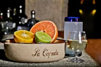 Matices Hotel de Barricas Hotels in Tequila