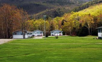Mountain View Motel & Cottages