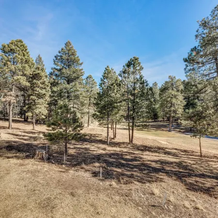 Bright Townhome - 1 Mile to Downtown Cloudcroft