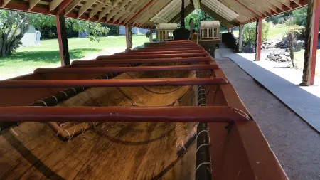 Tarlton's Lodge Отели рядом с достопримечательностью «Hole In The Rock Dolphin Cruise»