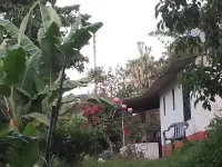 فينكا أمنيسا تشوتشي فنادق في 