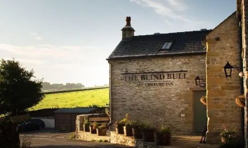 The Blind Bull